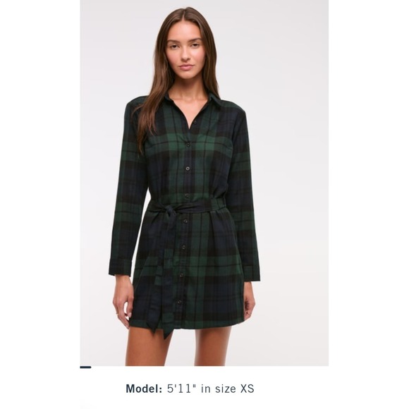 Abercrombie & Fitch Dresses & Skirts - Abercrombie &Fitch Flannel Plaid Shirt Dress GreenBlue Belted Long Sleeve Medium